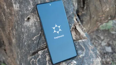 Smartphone displaying GrapheneOS logo on a textured wooden surface.
