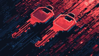 Two red keys overlayed on a dark circuit board background.