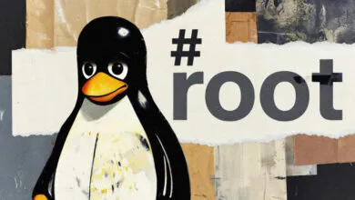 Cartoon penguin with '#root' text on a collage background.