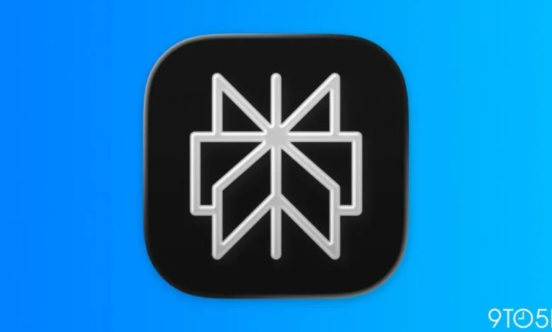 Perplexity AI app icon: white geometric design on black rounded square.