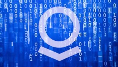 Palantir logo overlaid on a blue binary code background.