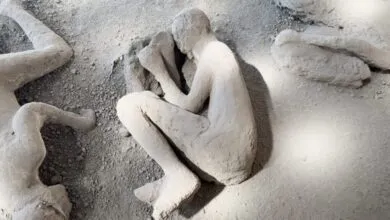 Plaster cast of a Pompeiian victim curled in fetal position.