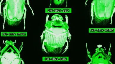 How the AI Era Is Fueling a Bug Hunting Arms Race