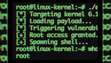 Linux terminal showing successful root access exploit with green text.