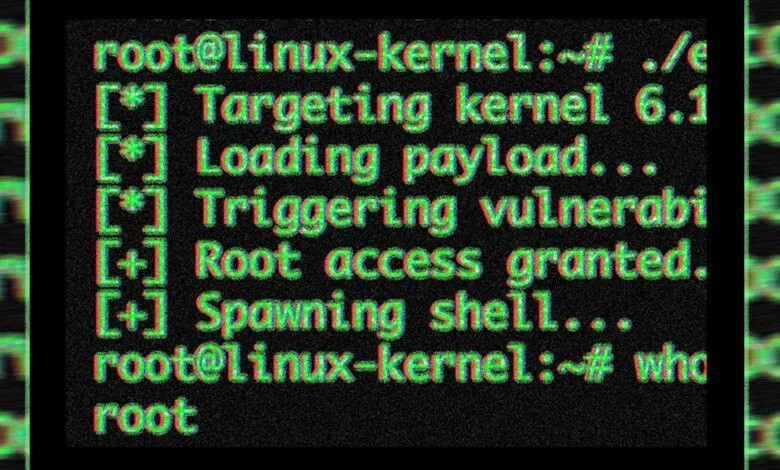 Linux terminal showing successful root access exploit with green text.