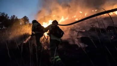 Two firefighters battling a wildfire with a hose at dusk.