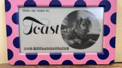 Dory Sign: E Ink Smart Screen Simplicity