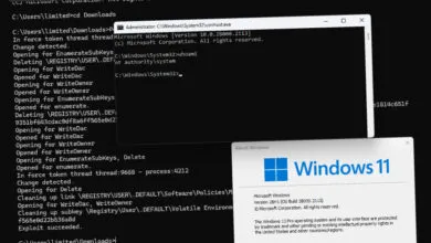 Windows 11 exploit shown in command prompts with registry modifications.