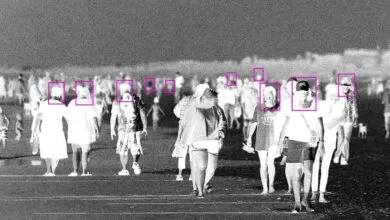 Wrongful Arrest Reveals Flaws in US’s Oldest Police Facial Recognition Tool