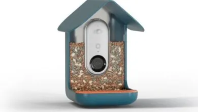 Solar-powered Birdbuddy Pro hits new low at $168