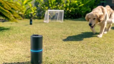 Thermacell launches larger, pricier smart mosquito system