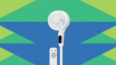Coway Airmega P50 Fan Review: Anti-App Design Limits