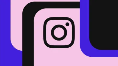 Instagram’s algorithm now lets you tell it what you want