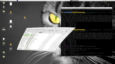 Why Y Not? It’s Xserver, Rewritten in Rust