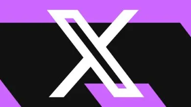 X admits broken algorithm turned site into ‘battleground’