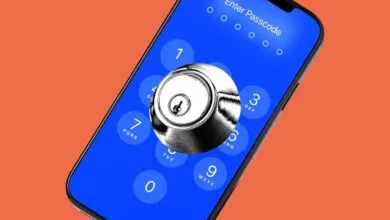 US Charges American Citizen for Wiping Phone at Border