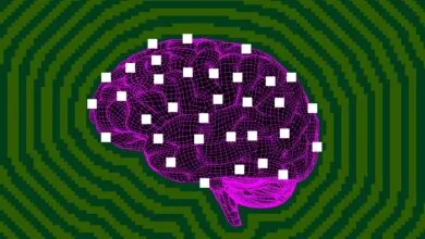 Lawmakers Draft Bill Mandating AI ‘Kill Switch’