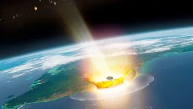 Study: Chicxulub impact charbroiled dinosaurs
