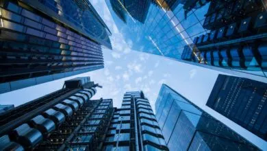 Companies embracing AI most are hiring more, including entry-level
