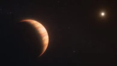Jupiter-Sized Planet Survives Its Star’s Death