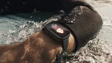 Best Apple Watch Cases on Amazon