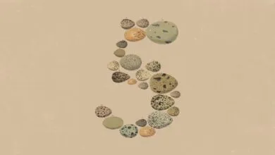 Anthropic’s Opus 5 Prioritizes Token Efficiency Over Capability
