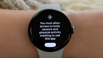 Google Pixel Watch Bug Breaks Fitbit Health Tracking for Some Users