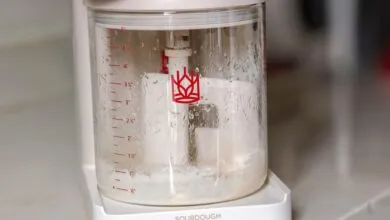 The Sourdough Sidekick automates tedious baking tasks
