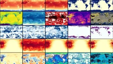 How AI weather startup WindBorne plans to profit