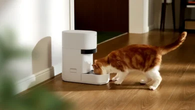 Smart pet feeder outage leaves owners’ pets unfed