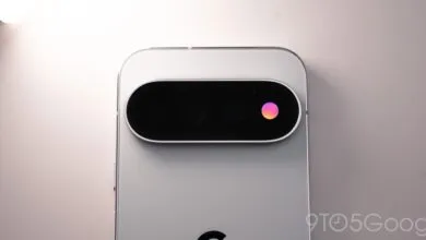 Close-up of the horizontal camera bar on the back of a white Google Pixel smartphone.
