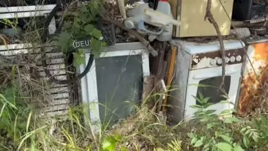 How to Grieve a Trashed Trinitron: The 5 Stages