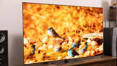 LG G5 OLED TV displaying a vibrant nature scene with birds among rocks.
