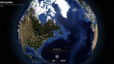 Earth Garden interactive globe interface showing North America with audio markers and starry space background.