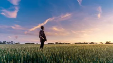 5 Predictions for the Next Decade | Opinion