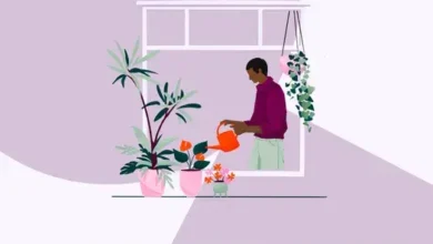 Illustration of a person watering potted plants by a window in a purple-toned room