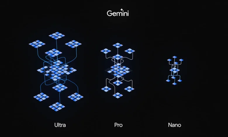 Gemini Flexible Model