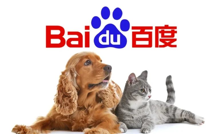 Baidu logo above a cocker spaniel and grey tabby cat relaxing on a white background.