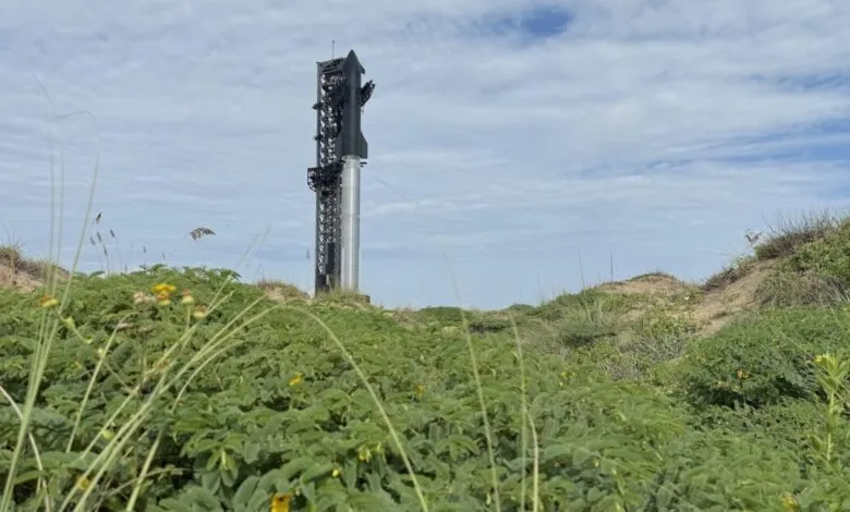 SpaceX Starship launch tower viewed from afar, partially obscured by coastal vegetation under a partly cloudy sky.