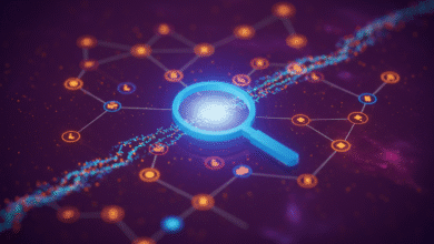 The Challenge of Observable Complexity