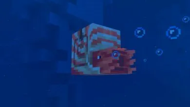 Minecraft's New Mounts of Mayhem Update Revealed