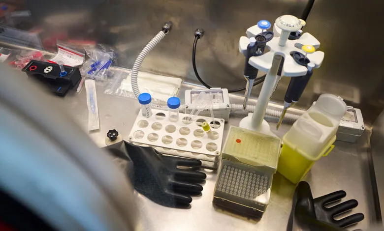 Close-up of laboratory equipment including pipettes, test tubes, and gloves.