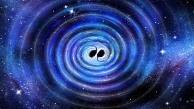 Hawking's Black Hole Theorem Confirmed by New Merger