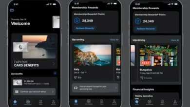 The $895 Price Tag for Amex's Premium App Theme