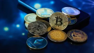 2025's Top Crypto Havens: Singapore Leads, UAE Breaks Top 5