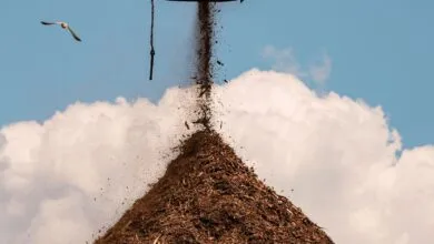 Big Tech's Carbon Removal & The Next Wave of Nuclear Reactors