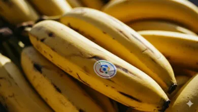 Google's Nano Banana AI Editor Expands to Search, Photos & NotebookLM