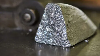 Ancient Hominins Showed Signs of Lead Poisoning 2 Million Years Ago