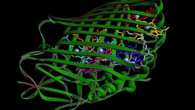 AI-Designed Proteins: A Stealth Threat to Biosecurity