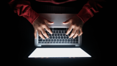 FinWise Breach: Why Encryption Is Your Final Defense